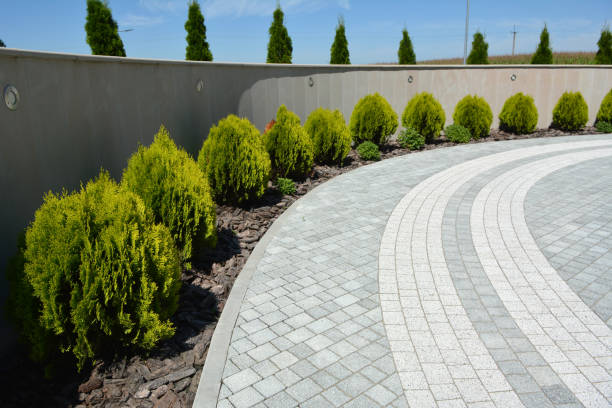 Best Local Driveway Pavers  in Millersburg, OR
